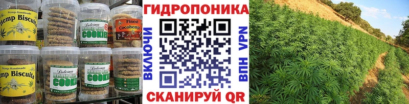 блэк спрут зеркало Буинск Canna-Cookies марихуана закладки